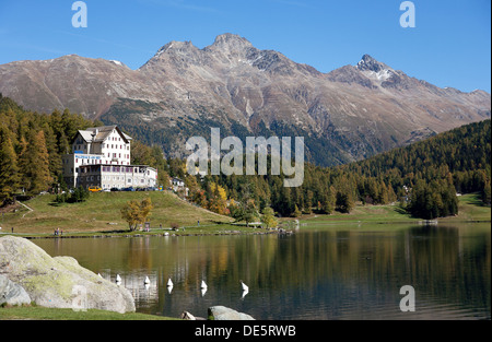 Saint-Moritz, Suisse, Saint Moritz Hotel Waldhaus am Banque D'Images