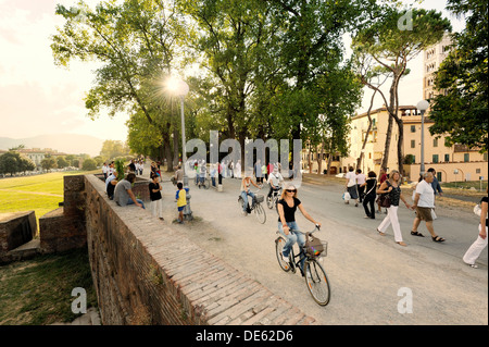 Ville italienne de Lucques. Les résidents locaux Promenade et randonnée le long des murs de la ville médiévale chaque soir d'été. La toscane, italie Banque D'Images