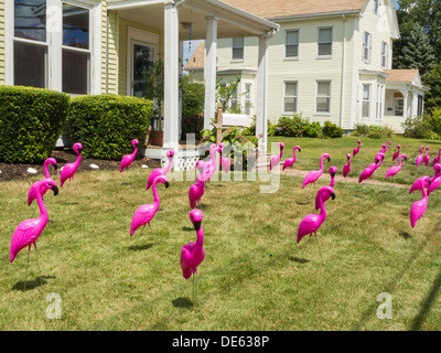 Volée de flamants roses en plastique sur la pelouse, blague, USA Banque D'Images