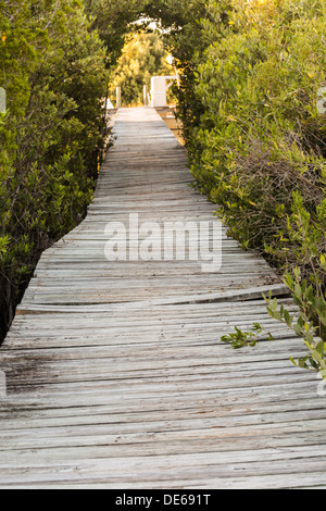 Plus de passerelle en bois du pont marais mène au quai commercial de Cedar Key, Floride Banque D'Images