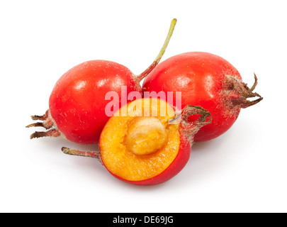 Paradise crab apple coupe sur fond blanc Banque D'Images