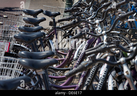 Rack de la location de vélos à la ville de Kos, l'île de Kos, Grèce. Banque D'Images