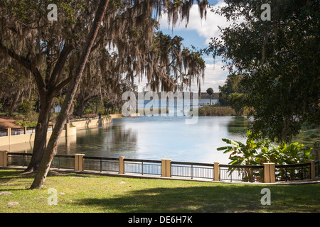 Lieu de baignade à Salt Springs Recreation Area dans le centre de la Floride Banque D'Images