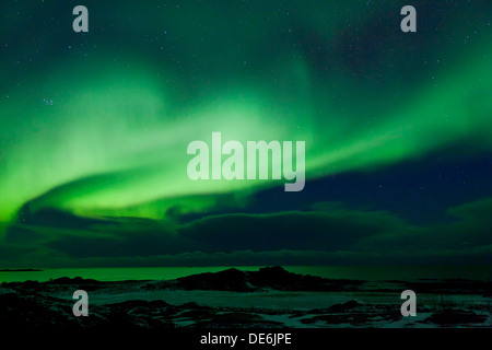 Northern Lights / Aurore boréale, phénomène spectaculaire montrant la lumière naturelle s'affichent dans le ciel nocturne, Scandinavie Banque D'Images