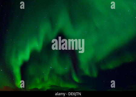 Northern Lights / Aurore boréale, phénomène spectaculaire montrant la lumière naturelle s'affichent dans le ciel nocturne, Scandinavie Banque D'Images