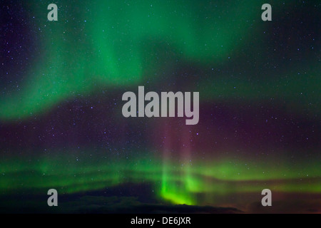 Northern Lights / Aurore boréale, phénomène spectaculaire montrant la lumière naturelle s'affichent dans le ciel nocturne, Scandinavie Banque D'Images