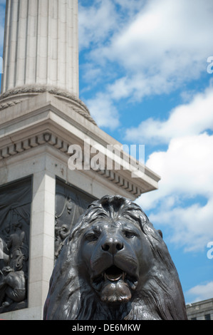 Portrait de l'un des lions en laiton au pied de la Colonne Nelson à Trafalgar Square, Londres, contre un ciel bleu. Banque D'Images