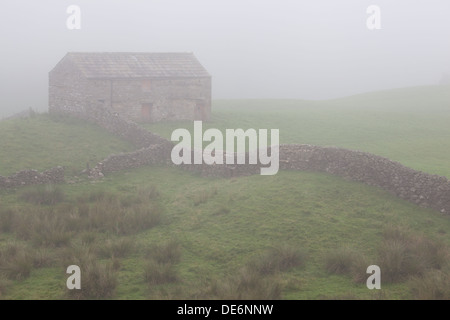 Yorkshire Dales grange en pierre (Fieldbarn) dans la brume à Angram, Swaledale, Yorkshire Dales, North Yorkshire, UK Banque D'Images