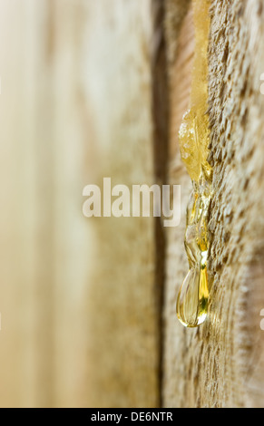 Goutte de résine sur mur en bois rugueux vue macro closeup Banque D'Images