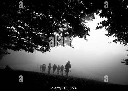 Les randonneurs randonnée en forêt brumeuse en chemin. Parc Naturel du Montseny. Barcelone. La Catalogne. L'Espagne. Banque D'Images