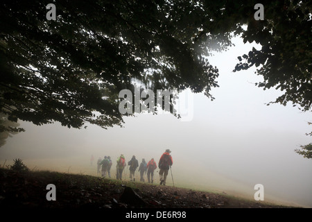 Les randonneurs randonnée en forêt brumeuse en chemin. Parc Naturel du Montseny. Barcelone. La Catalogne. L'Espagne. Banque D'Images