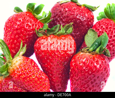 Fraises rouges mûrs sur un fond blanc Banque D'Images