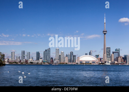 Ciel bleu voir la ville de Toronto, des gratte-ciel, le Rogers Centre, la tour CN et les cygnes du Lac Ontario - Canada Banque D'Images