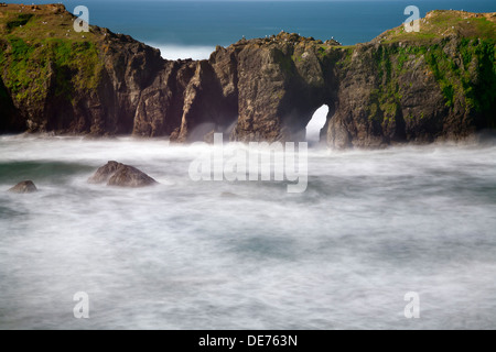 Ou01163-00...OREGON - arches naturelles dans la région de Elephant Rock off Point Coquille dans Bandon sur la côte du Pacifique. Banque D'Images