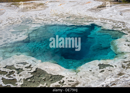 Photographie de l'Artemisia geyser, Parc National de Yellowstone. Banque D'Images