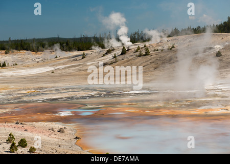 Photographie du paysage et des caractéristiques de la zone du bassin de porcelaine. Le Parc National de Yellowstone, Wyoming. Banque D'Images