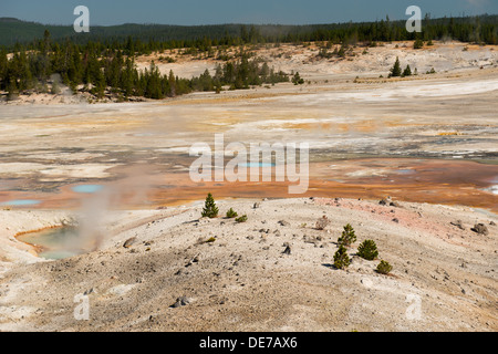 Photographie du paysage et des caractéristiques de la zone du bassin de porcelaine. Le Parc National de Yellowstone, Wyoming. Banque D'Images