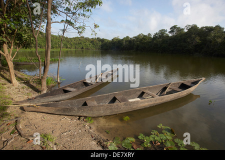 Canoës creusés dans l'eau et des nénuphars sur un lac d'oxbow au large de la rivière Rewa, Rupununi, Guyana, en Amérique du Sud Banque D'Images