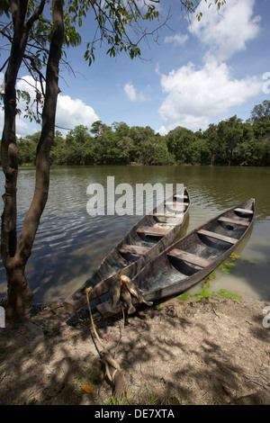 Pirogues creusées sur un lac d'oxbow au large de la rivière Rewa, Rupununi, Guyana, en Amérique du Sud Banque D'Images