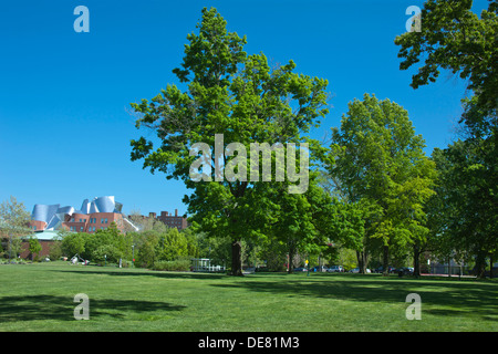 Cercle de l'Université Case Western Reserve University CIRCLE CAMPUS CLEVELAND OHIO USA Banque D'Images