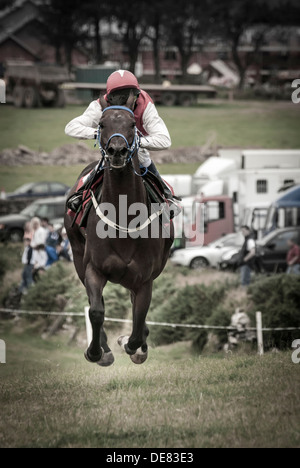 Horse Racing - Derby Dingle Banque D'Images