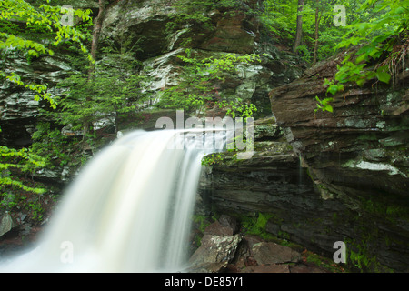 B REYNOLDS CUISINE CASCADE CREEK RICKETTS GLEN STATE PARK LUZERNE COMTÉ PENNSYLVANIA USA Banque D'Images