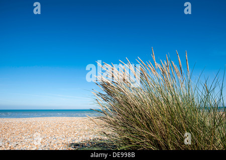 Plage de galets avec vue sur la baie de Sandwich, Kent, Royaume-Uni Banque D'Images