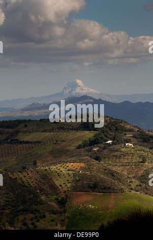 La campagne de la région près de Ségeste dans la province de Trapani, en Sicile. Banque D'Images