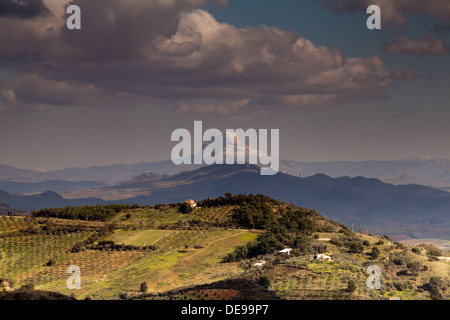 La campagne de la région près de Ségeste dans la province de Trapani, en Sicile. Banque D'Images