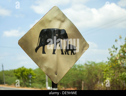 Panneau d'avertissement de l'éléphant sur la route au Sri Lanka Banque D'Images