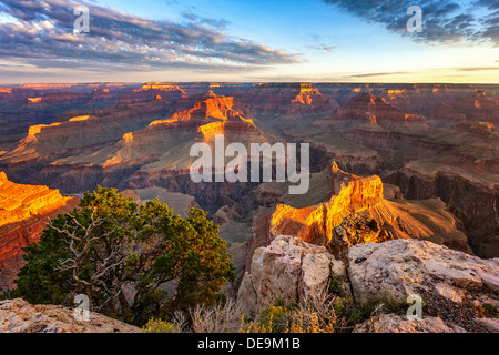 Vue horizontale de Grand Canyon au lever du soleil Banque D'Images