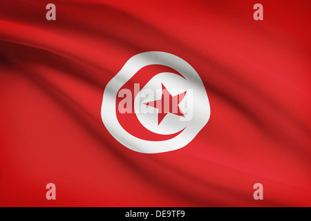 Drapeau tunisien dans le vent. Partie d'une série. Banque D'Images
