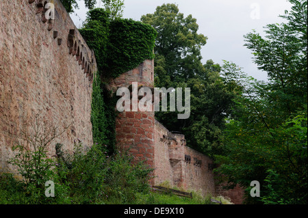 Dans Henneburg Château Stadtprozelten en Basse Franconie, Bavière, Allemagne Banque D'Images