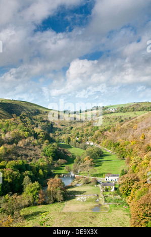 Monsal Dale et la rivière Wye, parc national de Peak District, Derbyshire, Angleterre, RU Banque D'Images