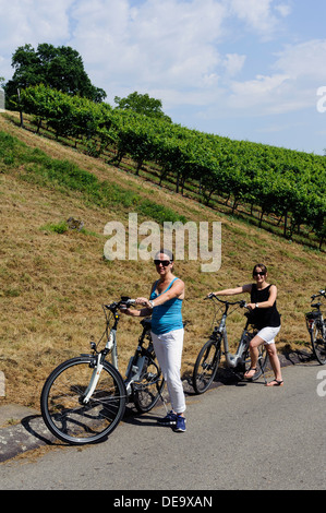 Les touristes sur l'E-Bikes, vin rouge de Franconie sentier de randonnée dans les vignobles de Buergstadt, Bavaraia, Allemagne Banque D'Images