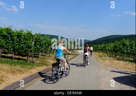 Les touristes sur l'E-Bikes, vin rouge de Franconie sentier de randonnée dans les vignobles de Buergstadt, Bavaraia, Allemagne Banque D'Images