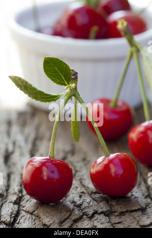 Une paire de cerises sur la tige en face d'un bol blanc avec d'autres cerises Banque D'Images