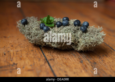 Les bleuets et menthe sur un lit de lichen. Banque D'Images