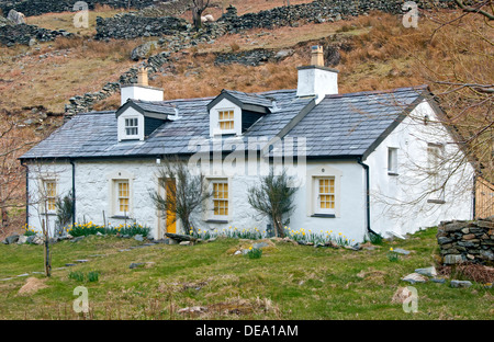 Cottage gallois traditionnel blanchi à la chaux au printemps, Nant Peris, Llanberis Pass , Parc National de Snowdonia, le Nord du Pays de Galles, Royaume-Uni Banque D'Images