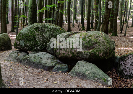 Tumulus Magelowberg Megalithc avec tombeau, néolithique Jasmund National Park à l'île de Rügen, Mecklenburg-Vorpommern, Allemagne Banque D'Images