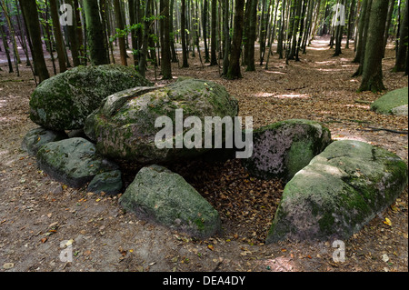 Tumulus Magelowberg Megalithc avec tombeau, néolithique Jasmund National Park à l'île de Rügen, Mecklenburg-Vorpommern, Allemagne Banque D'Images