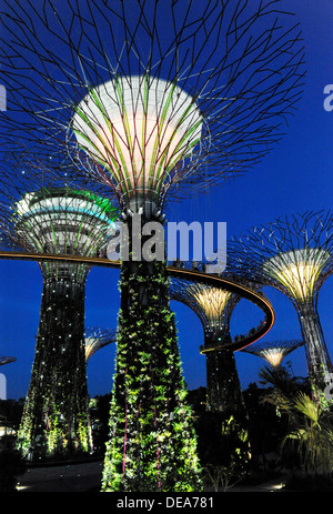 Attractions touristiques de Singapour - Jardins à Supertrees by the Bay Banque D'Images
