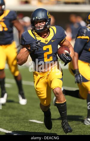 Berkeley, CA, USA. 14e Août, 2013. 14 Septembre 2013 : Daniel Lasco du cal Bears pendant une perte 52-34 à l'Ohio St. à Buckeyes California Memorial Stadium à Berkeley, Californie. © csm/Alamy Live News Banque D'Images