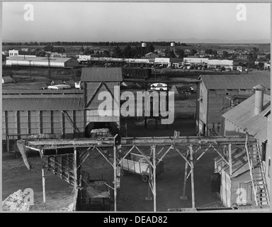 Eloy, comté de Pinal, Arizona. Regardant vers le bas à partir de l'eau tour de cotton gin, montre ginyard, ramassage de coton . . . 5271 Banque D'Images