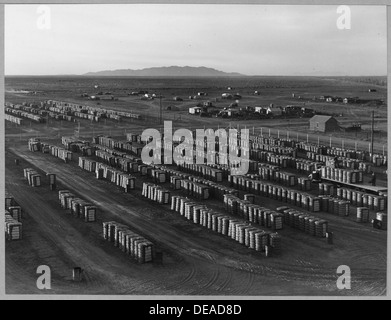 Eloy, comté de Pinal, Arizona. Périphérie d'Eloy vu à partir de l'eau tour de genièvre de coton. Coton montre yar . . . 5273 Banque D'Images