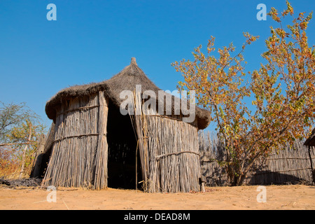 L'Afrique rurale traditionnelle reed et de chaume hut, dans la région de Caprivi, en Namibie Banque D'Images