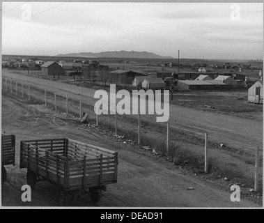 Eloy, comté de Pinal, Arizona. Camp de squatters, en face de la Genièvre de coton. La seule eau disponible . . . 5272 Banque D'Images