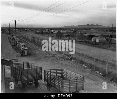 Eloy, comté de Pinal, Arizona. Camp de squatters, en face de la Genièvre de coton. La seule eau disponible . . . 5517 Banque D'Images