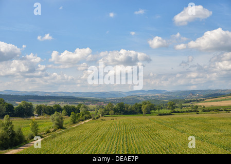 Paysage agricole de la région de l'Auvergne dans le Massif Central de la France dans un jour d'automne Banque D'Images