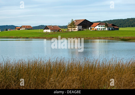 Taillères Lake, Lac des Taillères en automne, près du hameau de Les Taillères, dans la vallée de la Brévine Banque D'Images